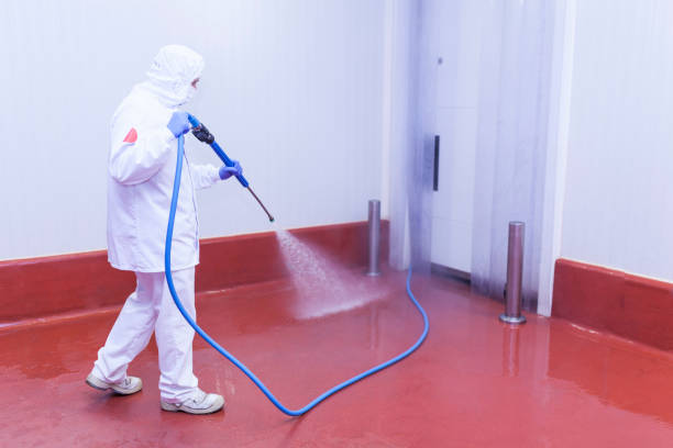 Best Warehouse Cleaning  in Beavercreek, OR